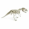Miniatyrbillede 6 af 7: Lærerigt Spil