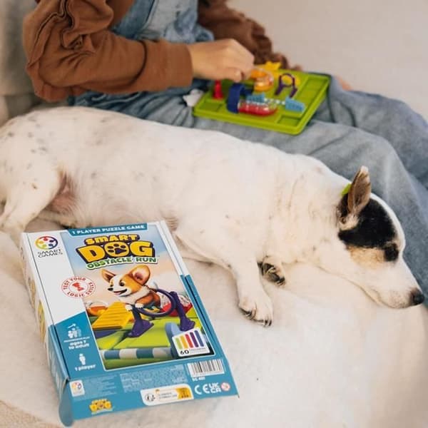 Strategispel Multi-Nivå Smart Dog Corgi - 7 År - SG 451