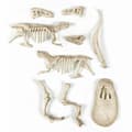 Miniatyrbillede 5 af 6: Udgravningsspil Clementoni T-Rex fosforescente