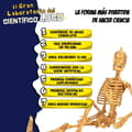 Miniatyrbillede 3 af 7: Videnskabspil Lisciani Giochi El gran laboratorio del científico loco ES (4 enheder)