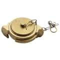 Miniatyrbild 1 av 2: Lalizas Blank Cap&chain ?akajima 2 1/2´´ Extension Guld