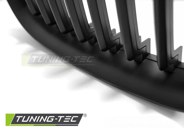 Grill BMW X1 E84 10 09-08 12 MAT SORT