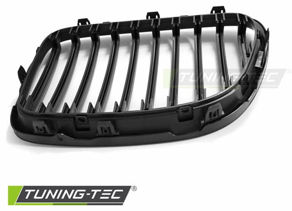 Grill BMW X1 E84 10 09-08 12 MAT SORT