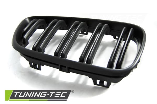 Grill BMW F22 / F23 M2 MAT SORT