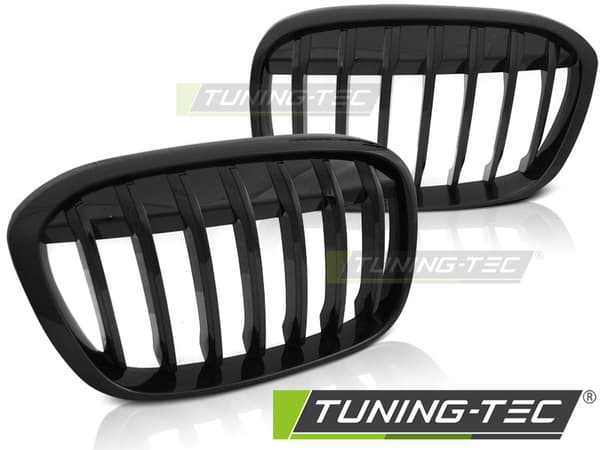Grill BMW X1 F48 15- BLANK SORT