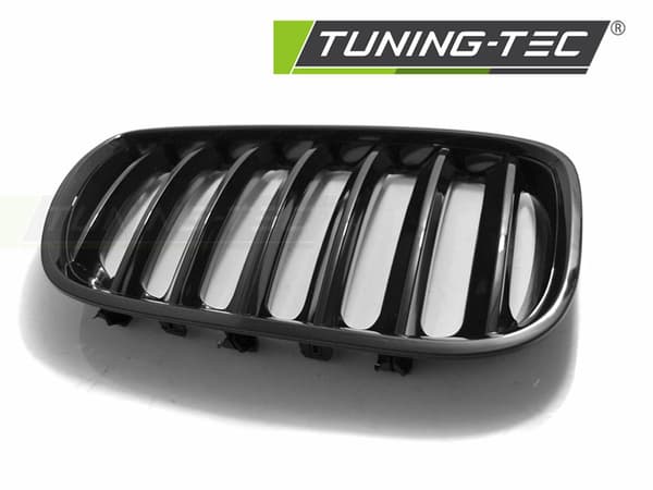 Grill BMW X5 E53 LCI 04-06 SKINNEN SORT