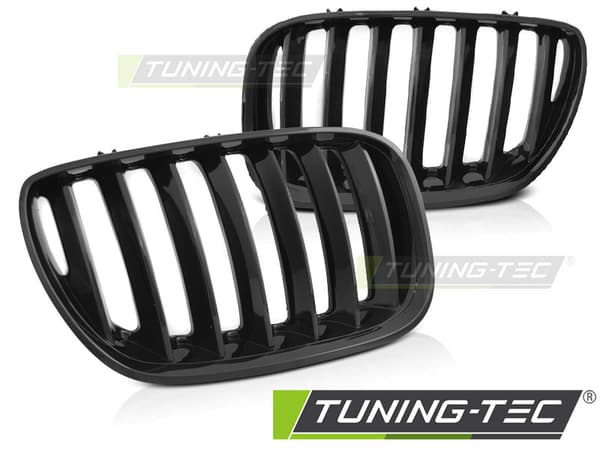 Grill BMW X5 E53 LCI 04-06 SKINNEN SORT