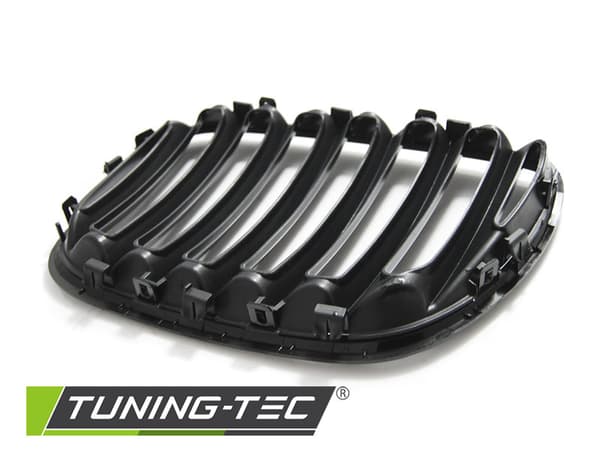 Grill BMW X5 E53 LCI 04-06 SKINNEN SORT