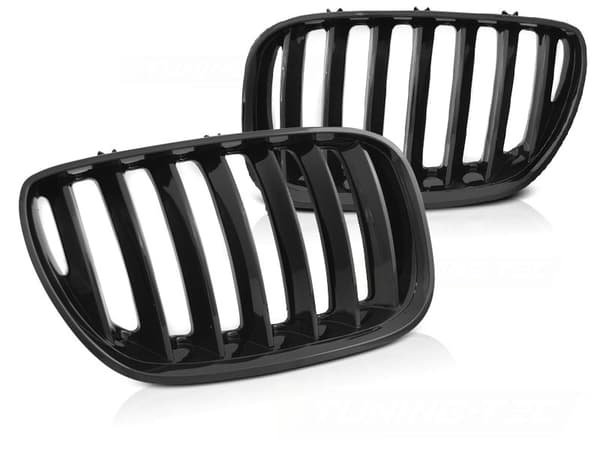 Grill BMW X5 E53 LCI 04-06 SKINNEN SORT
