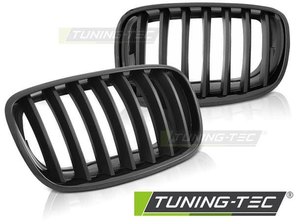 Grill BMW X5 E70 X6 E71 08- BLANKSVART