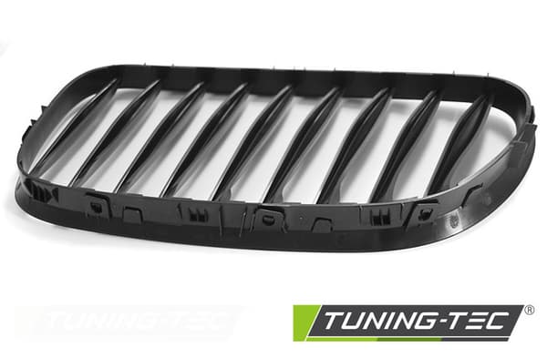 Grill BMW Z4 (E85) 06-08 LIFT MAT SORT