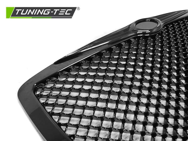 Grill CHRYSLER 300 C 04-11 - Blank sort