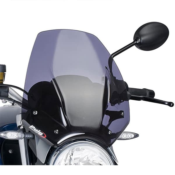 Puig Forrude Bmw R Carenabris New Generation Sport 1200r Grå