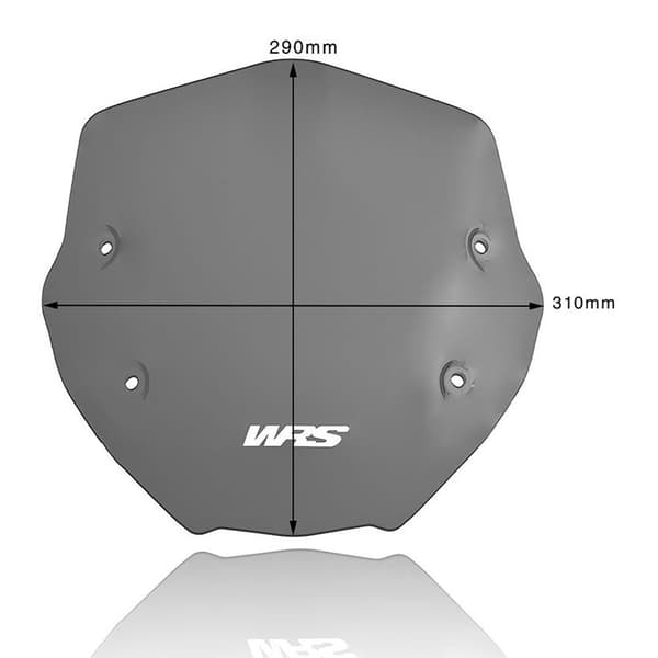 Wrs Bmw Bm056fs Sportig Vindruta Svart