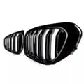 Pikkukuva 3 / 11: Grille For BMW 5 Series G30 G31 2017-2020 Front Kidney Double Slat Gloss Black