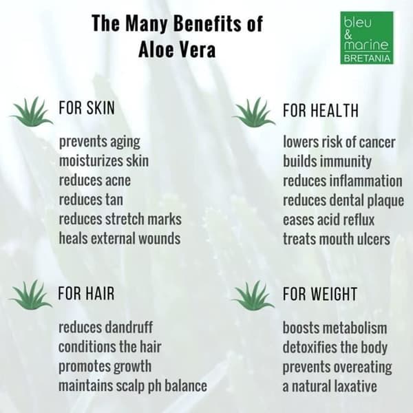 100% Naturlig Aloe Vera Gel 1000 ml