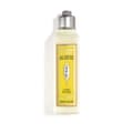 Pikkukuva 1 / 2: Vartalovoide L'Occitane En Provence Verbena 250 ml Sitruuna Verbena