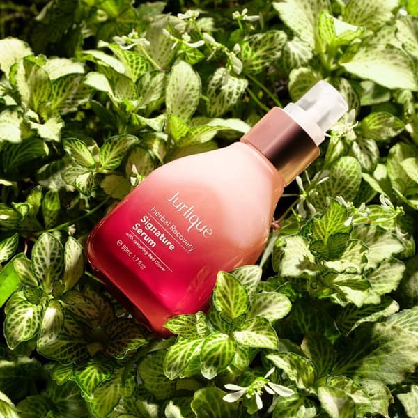 Jurlique® Herbal Recovery Signature Serum 30 ml