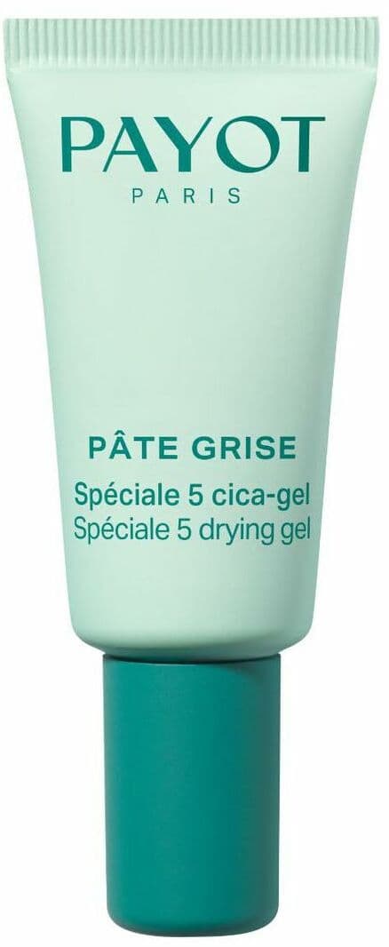 Day Cream Payot PÂTE GRISE