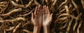 Miniatyrbild 6 av 6: Pulanna Ginseng Handkräm