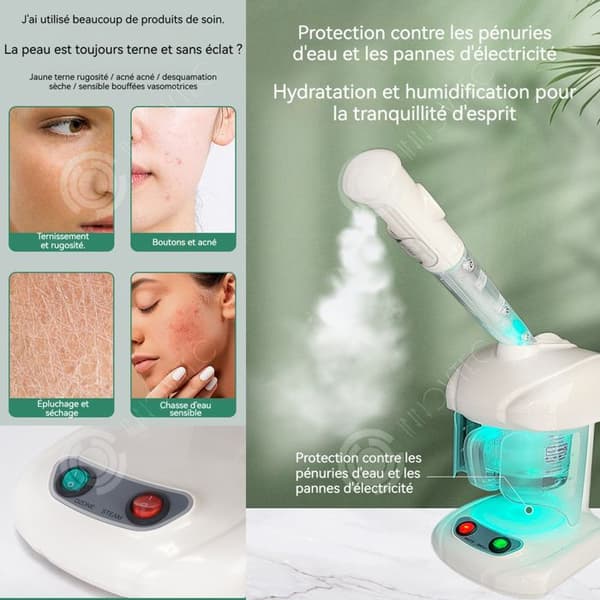 INN Facial Steamer 26x22x33cm Nano Fuktgivande ansiktsenhet Skönhetsluftfuktare Humidificateu