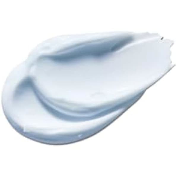 Moisturizing Cream - PAYOT - Source Adaptogen - 50 ML - Alla hudtyper - Cream Texture