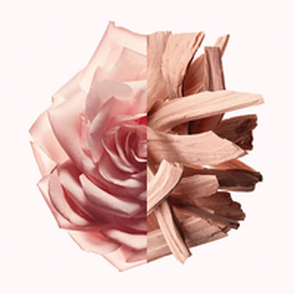 Dame parfyme Givenchy IRRESISTIBLE NUDE VELVET EDP 50 ml