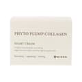 Miniatyrbild 2 av 3: Nattkräm Mizon Phyto Plump Collagen 50 ml