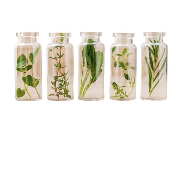 Behandlingskrem for åreknuter 500 Cosmetics Varesil 100 ml