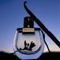 Miniatyrbild 2 av 2: Parfym Damer Chloe NOMADE NUIT D’EGYPTE EDP 75 ml