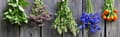 Miniatyrbild 4 av 7: Farmona Herbal Care Handkräm Linfrö 100
