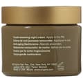 Miniatyrbillede 2 af 2: Natcreme Origins Plantscription (50 ml)