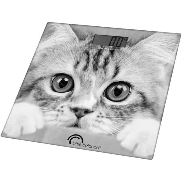 Väger katten 180 kg 100 g
