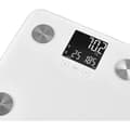 Miniatyrbild 5 av 6: Personvåg - SENCOR - SBS 6025WH - LCD-skärm - Vit