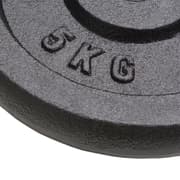 vidaXL Vektskiver 4 stk 4x5 kg støpejern