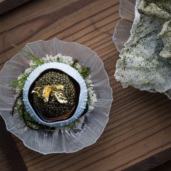 Anemone Bowl, Ø 14 cm - Målerås