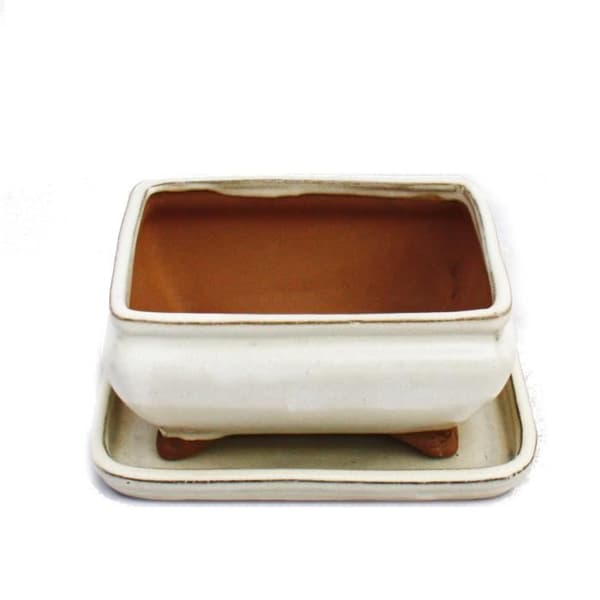 bonsai skål med fat storlek 2 - ljus beige - fyrkantig - modell g81 - l 14,5 cm - b 11,5 cm - h 6,5 cm