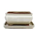 Miniatyrbild 1 av 3: bonsai skål med fat storlek 2 - ljus beige - fyrkantig - modell g81 - l 14,5 cm - b 11,5 cm - h 6,5 cm