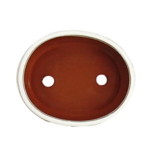 bonsai skål med fat storlek 2 - ljus beige - oval - modell o7 - l 15,5 cm - b 12 cm - h 4,5 cm