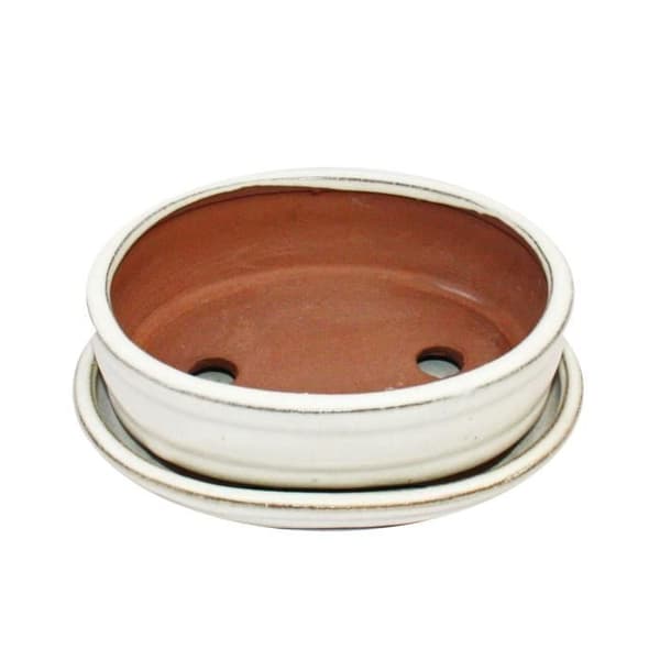 bonsai skål med fat storlek 2 - ljus beige - oval - modell o7 - l 15,5 cm - b 12 cm - h 4,5 cm