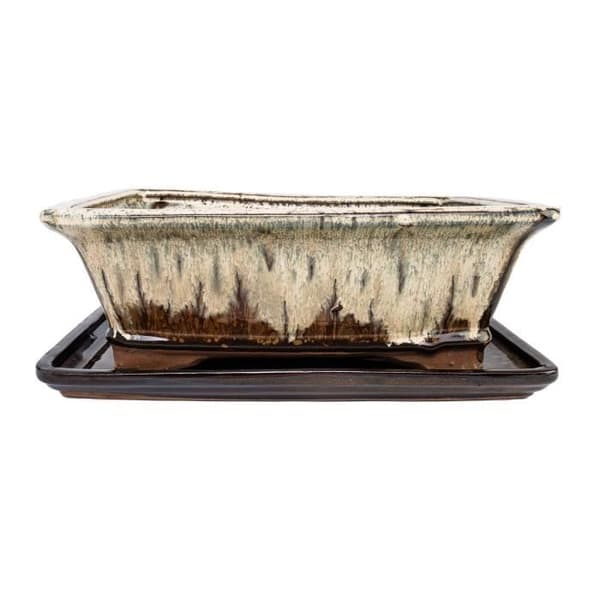 bonsai skål med fat storlek 4 - specialglasyr med ädel färggradienteffekt - kantig - kräm/brun - l 26cm - b 20cm