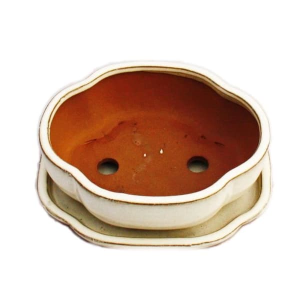 Exotenherz - bonsai skål med fat storlek 2 - ljus beige - haitang/oval - modell i5 - l 14,5 cm - b 12,5 cm - h 5 cm