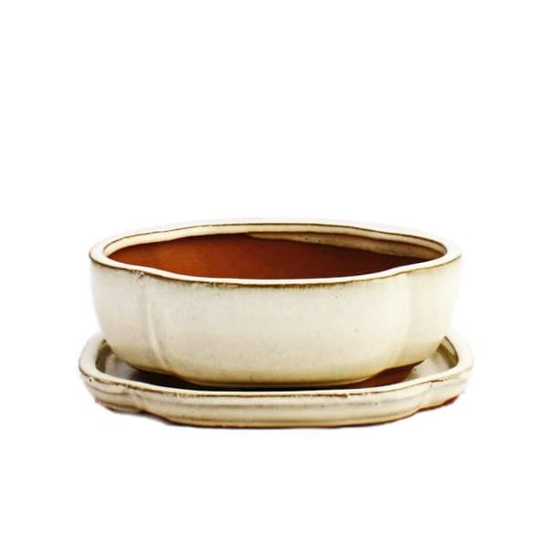 Exotenherz - bonsai skål med fat storlek 2 - ljus beige - haitang/oval - modell i5 - l 14,5 cm - b 12,5 cm - h 5 cm