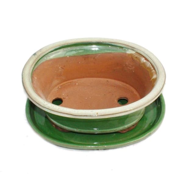 bonsai skål med fat storlek 8 tum - grön-beige - oval - modell o4 - l 21cm - b 17cm - h 6cm