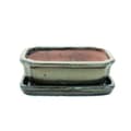 Miniatyrbild 1 av 3: bonsai skål med fat storlek 2 - olivbrun - fyrkantig - modell g12 - l 15,5 cm - l 11,5 cm - h 4,5 cm