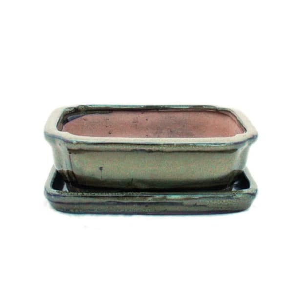 bonsai skål med fat storlek 2 - olivbrun - fyrkantig - modell g12 - l 15,5 cm - l 11,5 cm - h 4,5 cm