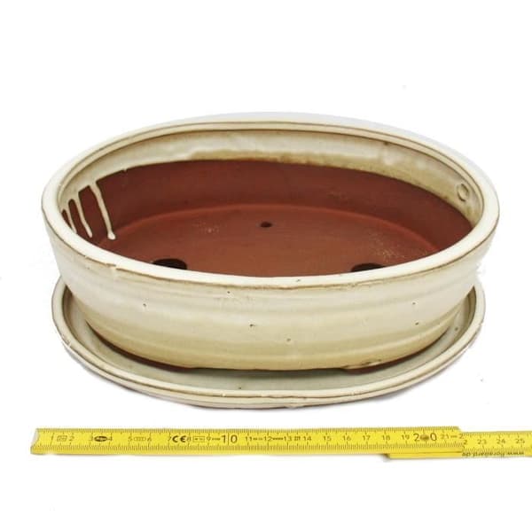 bol bonsaï med fat storlek 4 - oval oval o7 - ljus beige - l 26cm - b 21cm - h 7,5cm
