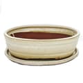 Miniatyrbild 1 av 3: bol bonsaï med fat storlek 4 - oval oval o7 - ljus beige - l 26cm - b 21cm - h 7,5cm
