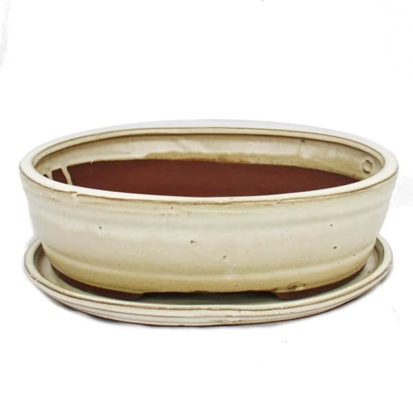 bol bonsaï med fat storlek 4 - oval oval o7 - ljus beige - l 26cm - b 21cm - h 7,5cm