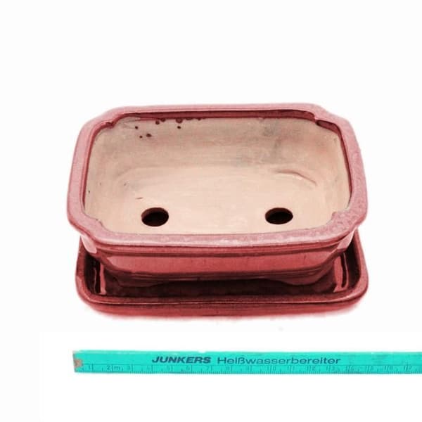 bonsai skål med fat storlek 2 - rektangulär g12 - röd - l 15,5 cm - l 12 cm - l 12 cm - h 4,5 cm